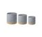 Lot De 3 Paniers En Coton Beige Et Gris Basima