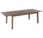 Table De Jardin 180/240 X 100 Cm Bois Solide Bois Foncé Cesana