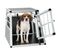 Cage De Transport Pour Chien Simple Dos Droit - 54 X 69 X 50 Cm