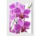 Paravent / Cloison De Séparation M68, 3 Panneaux, 120x180cm, Orchidée
