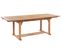 Table De Jardin 160/220 X 90 Cm Bois Solide Bois Clair Java