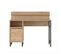 Bureau Ocean 120x60x100 Cm Naturel