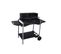 Barbecue charbon SIGNATURE  YH28020AR