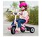 Tricycle Fisher Price  3 En 1 Charm Rose