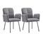 Lot De 2 Chaises Avec Pieds En Métal En Velours Gris