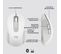 Souris Sans Fil Signature M650 L - Grande Taille Silencieuse, Bluetooth, Boutons Programmables