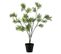 Plante Artificielle En Pot "mimosa" 73cm Vert