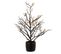 Plante Artificielle "arbre et Feuilles" 44cm Noir et Or