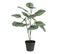 Plante Artificielle En Pot "calathee" 56cm Vert