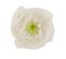 Fleur Artificielle En Papier "rose" 80cm Blanc