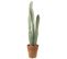 Plante Artificielle En Pot "cactus" 81cm Vert