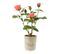 Plante Artificielle En Pot "rosier" 39cm Rose