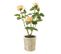 Plante Artificielle En Pot "rosier" 38cm Jaune