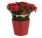 Composition Florale Pot "roses et Baies" 25cm Rouge