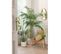 Miroir Mural Design "dusty" 70cm Naturel