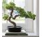 Bonsai Artificiel "podocarpus" 47cm Vert