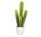 Plante Artificielle En Pot "cactus" 52cm Vert