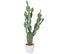 Plante Artificielle En Pot "cactus" 135cm Vert