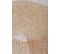 Tapis De Salon Moderne Tissé Plat Tirana En Polyester - Beige - 170x240 Cm