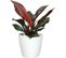 Pot San Remo Autoarrosage 30 Cm Blanc 30x30xh27, 3 Cm  0, 82l