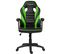 Fauteuil Gamer Paracon Squire Vert