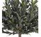 Olive Tree - Olivier Artificiel H120cm - Couleur - Vert