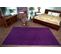 Tapis - Moquette Eton Violet 100x500 Cm