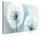 Tableau Imprimé "fluffy Dandelions Blue Wide" 45x100cm