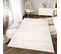 Tapis Salon Chambre Brillant Crème Beige Clair Vintage Ornamental Effet 3d Oeko-tex 80x150 cm