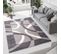Tapis Salon Rectangle Gris Crème Abstrait Poil Court Dream 250x300