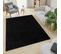 Tapis Salon Noir Unicolore Moelleux Poil Long Shaggy 120 X 170 Cm