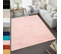 Tapis Salon Rose Uni Moelleux Epais Poil Long Shaggy 80 X 150 Cm