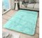 Tapis Salon Chambre Antidérapant Bébé Menthe Uni Shaggy Super Doux 140x200 cm