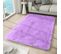 Tapis Salon Chambre Antidérapant Bébé Violet Uni Shaggy Super Doux Doux 200x300 cm