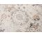 Tapis Salon Chambre Vintage Beige Gris Floral 140x200 Valley