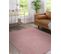 Tapis Softy Plaine Couleur Unie Rose 280x370 Cm