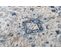 Valley Rond Tapis Poil Court Vintage Beige Gris Clair 240x240cm