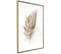 Affiche Murale Encadrée "lost Feather Beige" 30 X 45 Cm Or