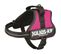 Harnais Power Mini-mini S : 40-53 Cm-22 Mm Fuchsia Pour Chien