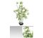 Plante Artificielle "Bambou" en dacron+pe+terracotta - Dim : H 122 cm