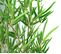 Plante Artificielle Bambou - Hauteur 180 Cm