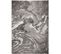 Tapis De Salon Sire En Polypropylène - Gris - 120x170 Cm