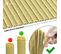 Canisse Pvc Brise Vue Ultra Renforce Avec Attaches De Fixation 80x300cm Beige