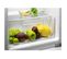 Réfrigérateur 1 Porte Intégrable À Glissière 142l - Fran88es