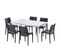 Ensemble 6 Chaises Et 1 Table 150x90cm Jardin Café Terrasse Robuchon