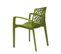 Chaise Design Verte Anis Avec Accoudoirs Dentelle