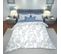 Parure De Lit Eucalypto En Coton - Drap De Lit 150x290 Cm, Drap Housse 90x200 Cm