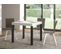 Table Extensible 90x90/246 Cm Everyday Frêne Blanc Cadre Anthracite