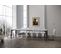 Console Extensible 90x40/300 Cm Karamay Evolution Frêne Blanc Cadre Anthracite