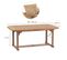 Table De Jardin Extensible En Bois Brian